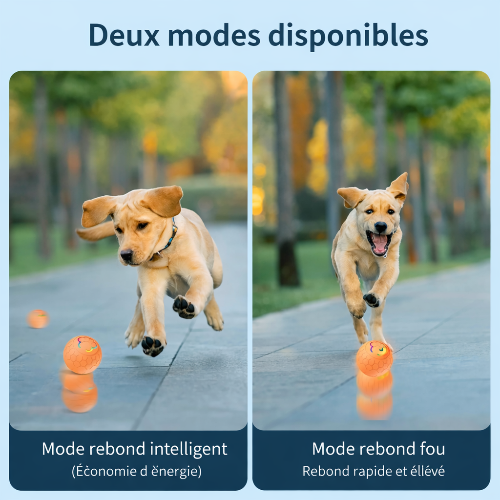 Chiot jouant avec la balle LED intelligente