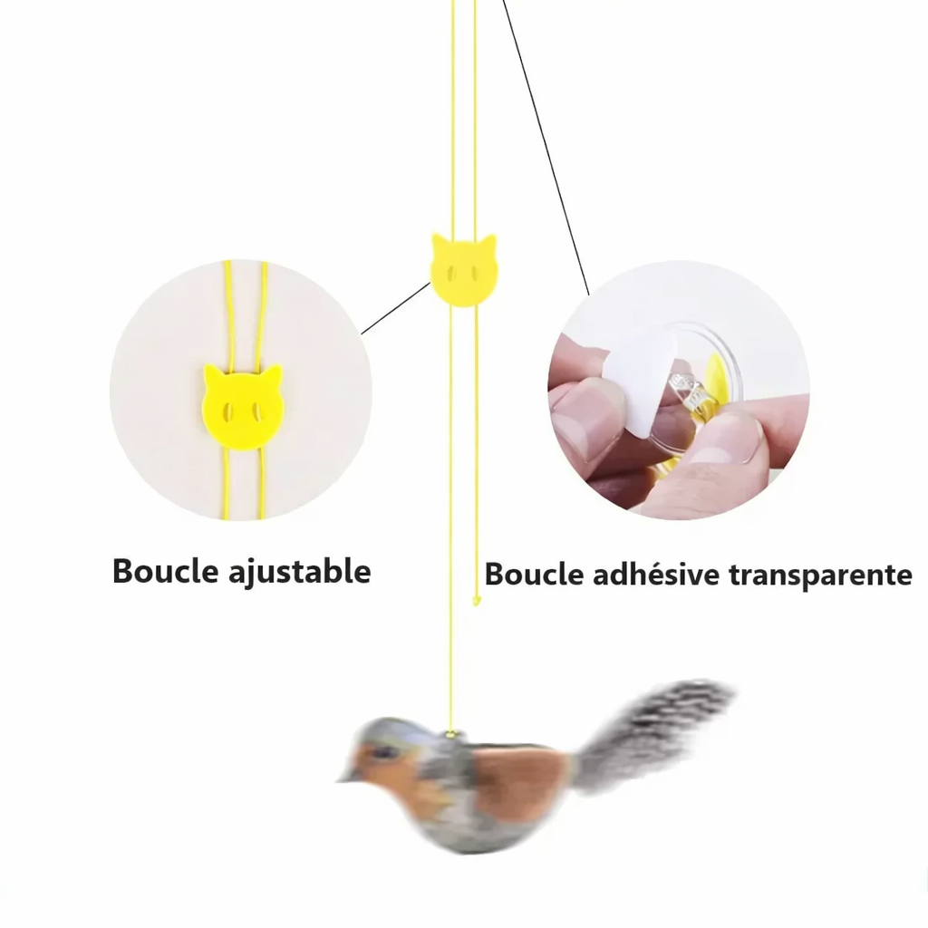 Mode d'emploie pour le jeux 