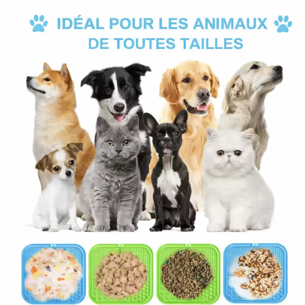 Tapis de léchage en silicone pour animaux diversifié 