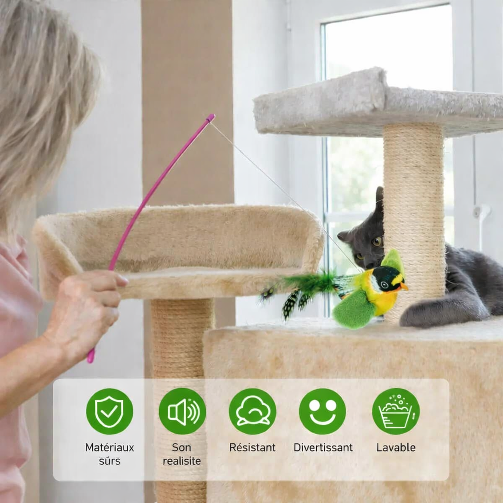 Jeux apprécié des chats d'intérieur 