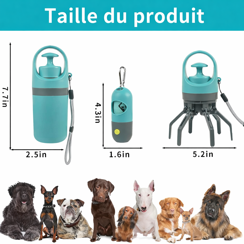 Dimensions des articles 
