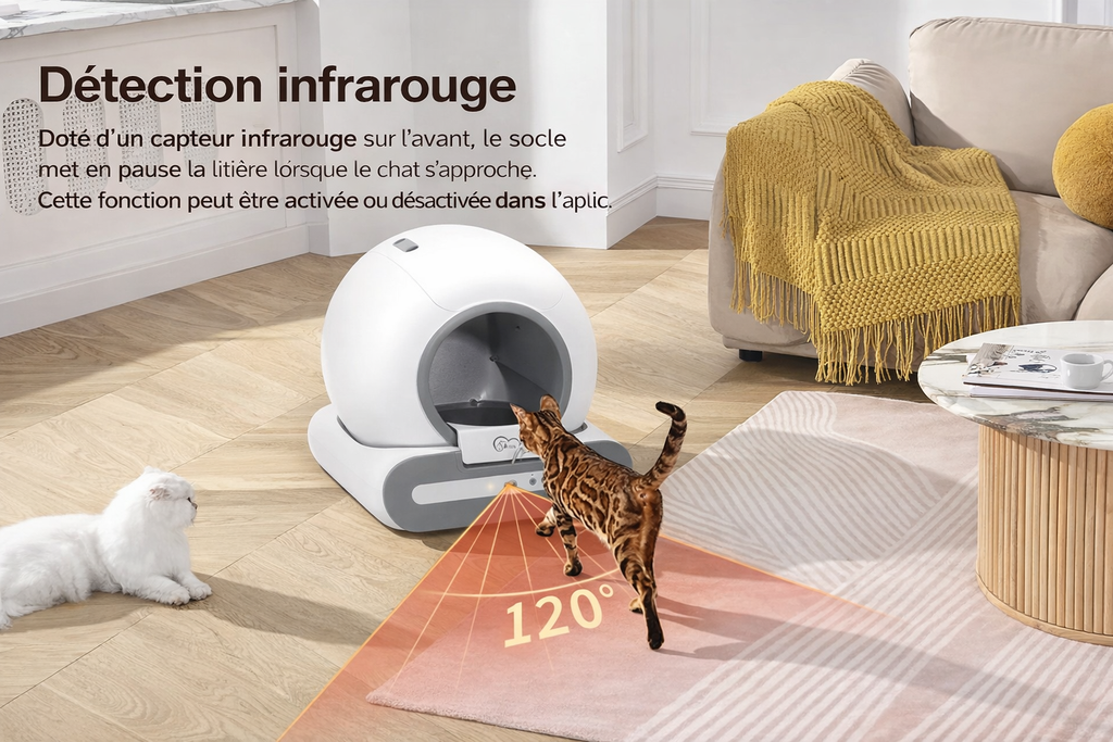 Chat utilisant la litière autonettoyante ouverte