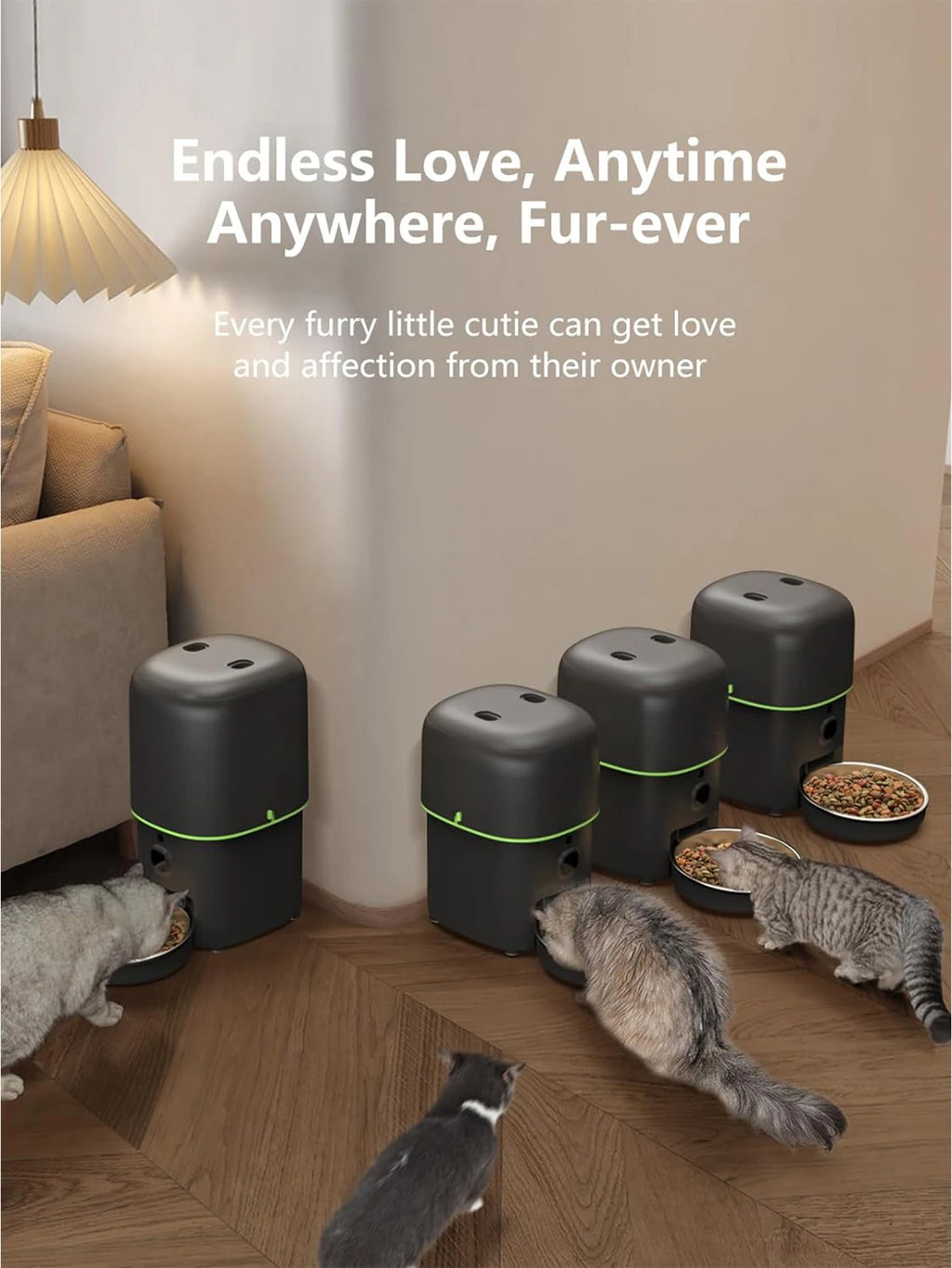 Distributeur Automatique de Nourriture pour chat et chien