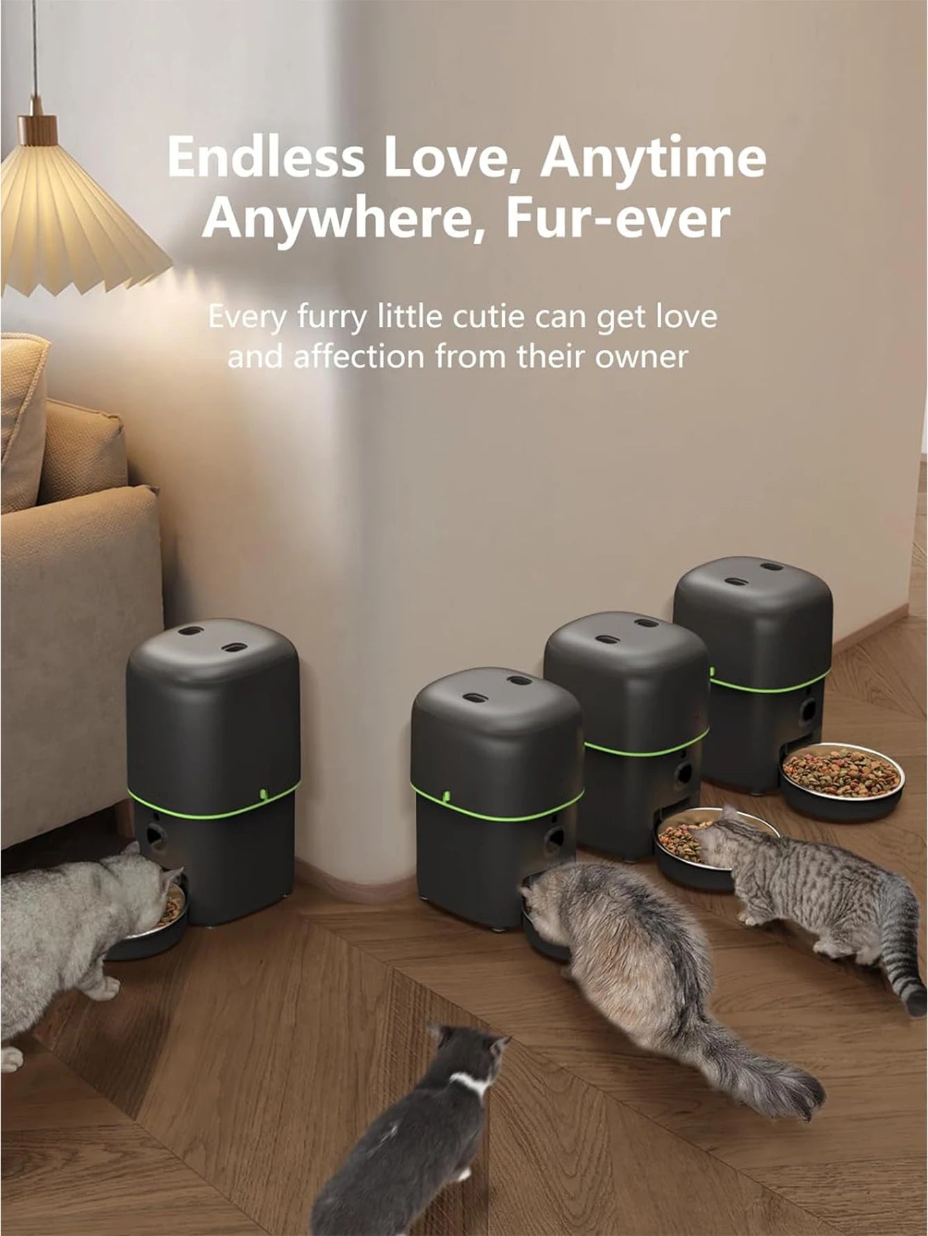 Distributeur Automatique de Nourriture pour chat et chien