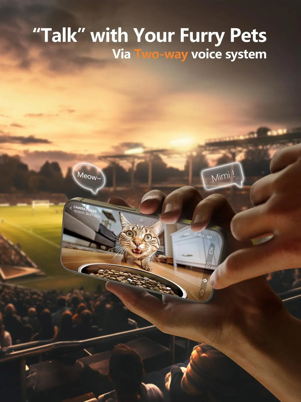 Distributeur Automatique de Nourriture pour chat et chien