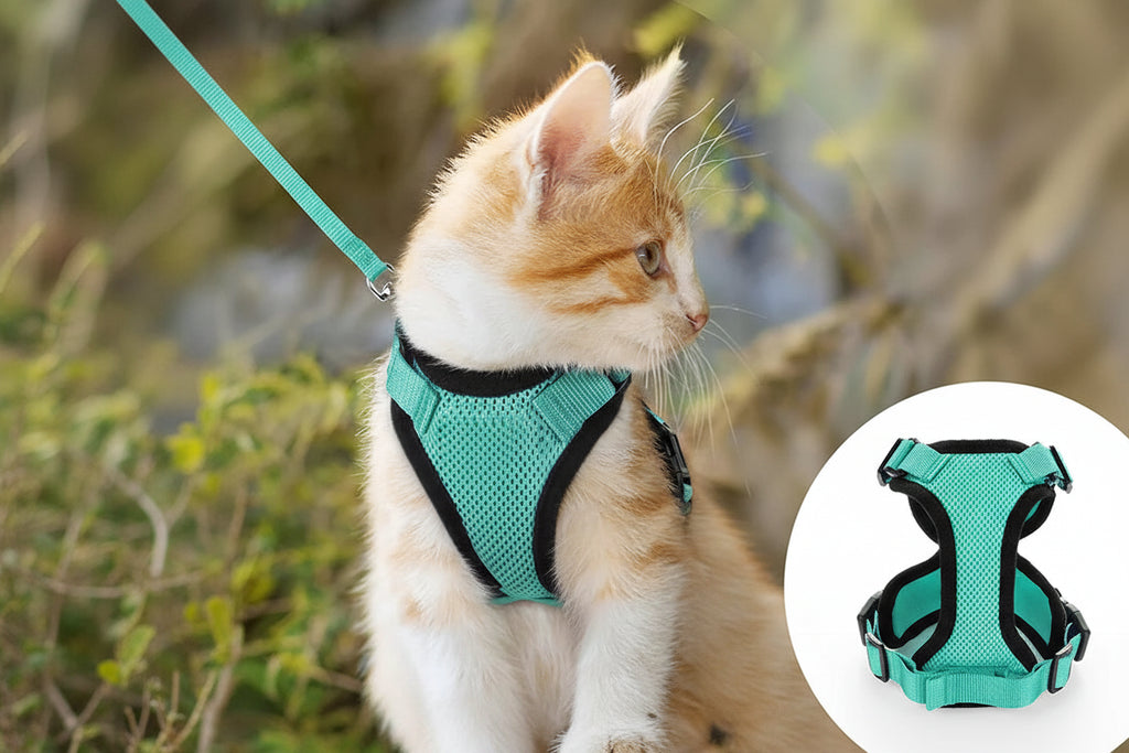Harnais adapté à tout type de chat 