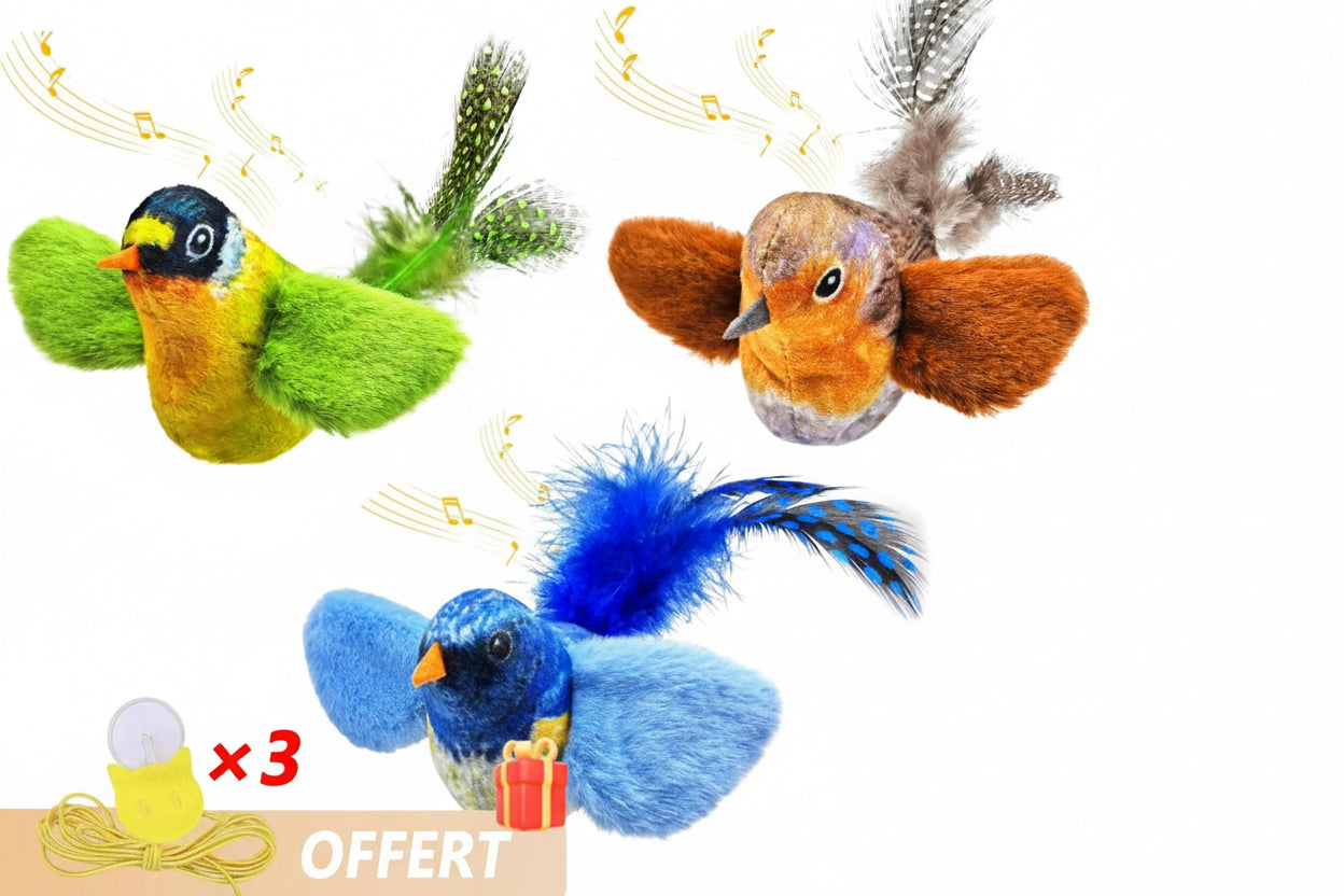 3 oiseaux avec 3 cordons offert