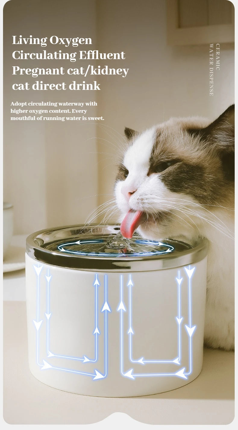 Fontaine à Eau céramique pour Chat