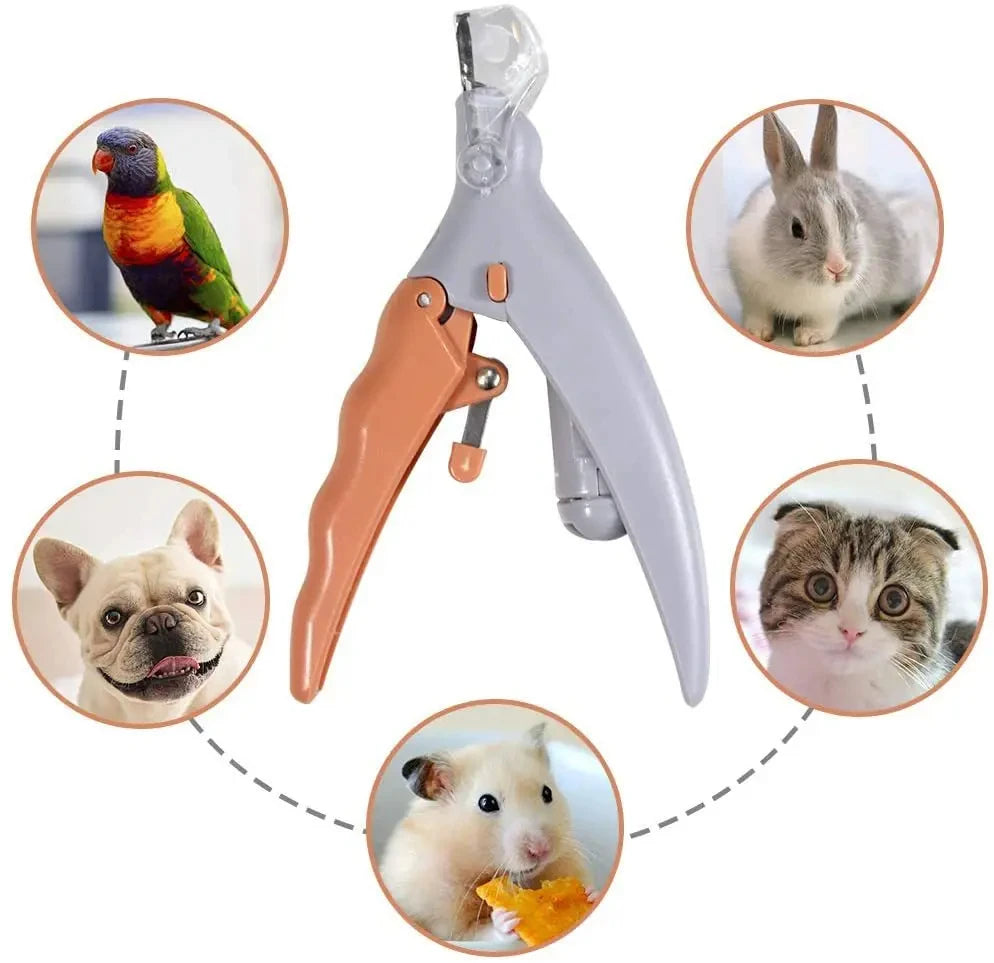 Coupe-ongles LED ergonomique pour animaux