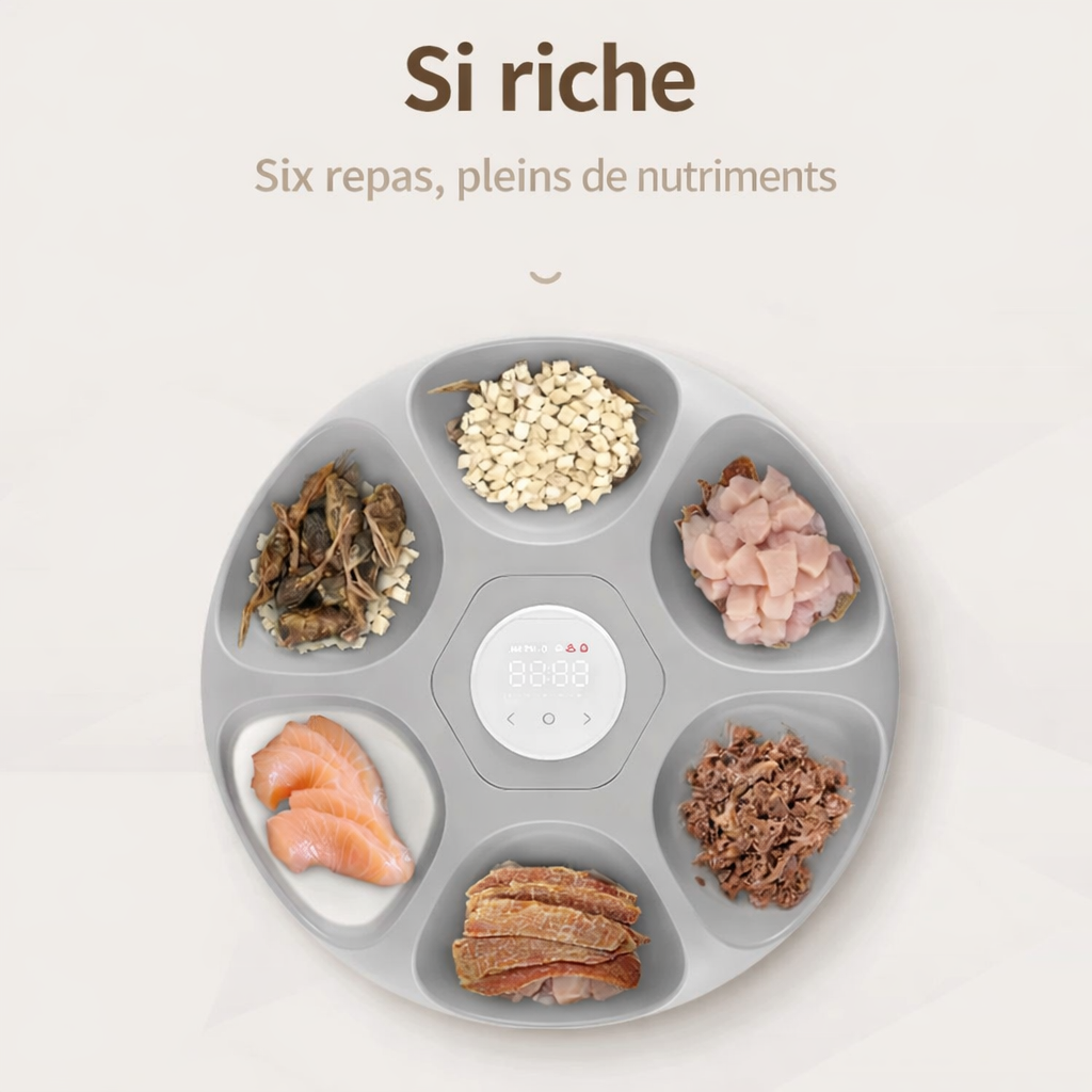 Distributeur programmable pour nourriture humide