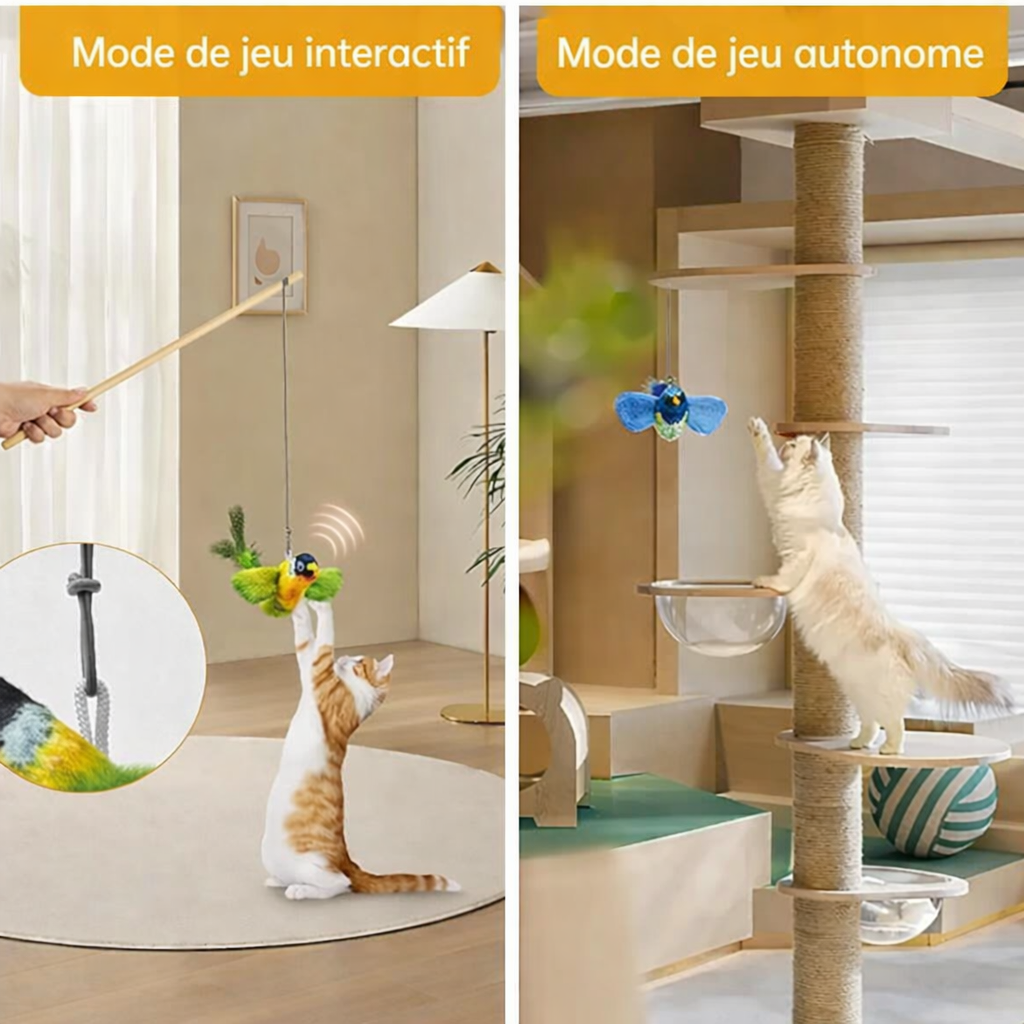 Plusieurs modes de jeux pour votre chat 