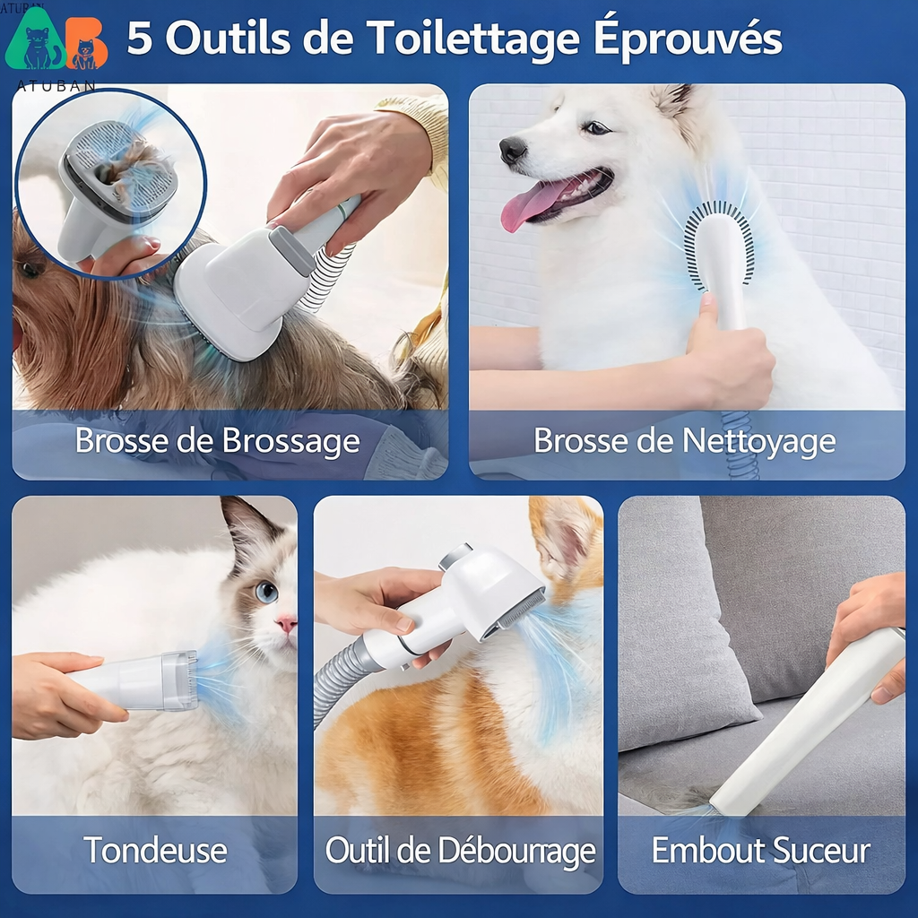 Plusieurs outils de toilettage 