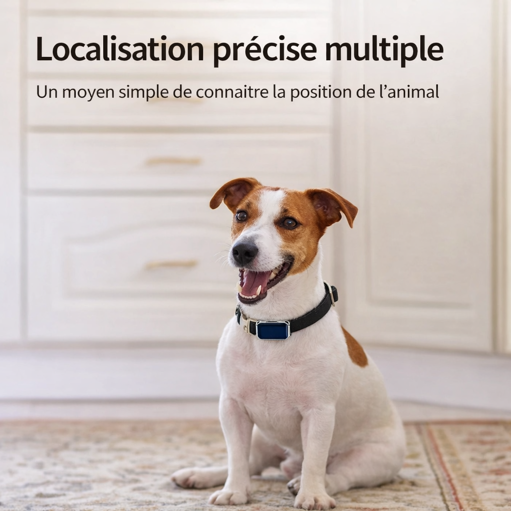 Localisateur GPS en temps réel pour animaux