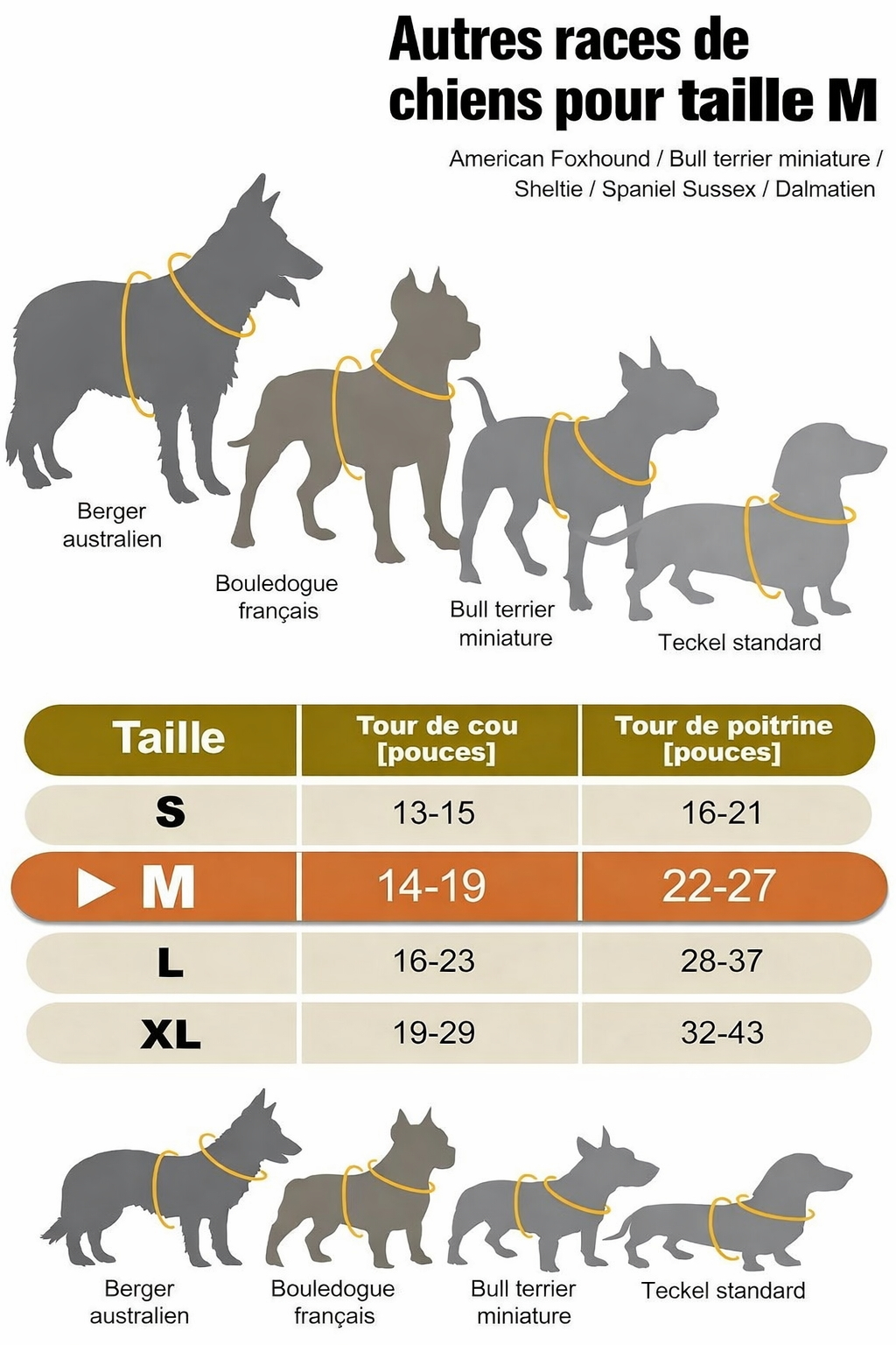 Différente tailles et mesure pour le harnais